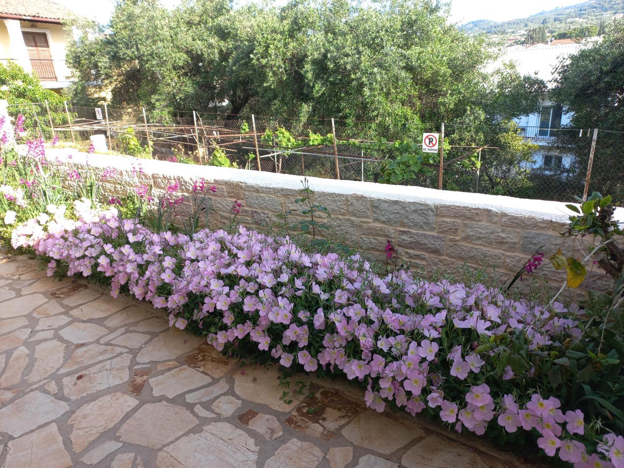 Apartmán Oneiro House Kassiopi Exteriér fotografie